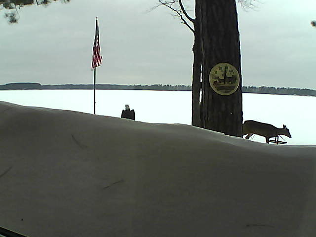 Whiteface Cam Image - Tue, 03/12/2019 3:29pm 