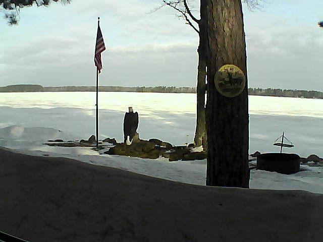 Whiteface Cam Image - Mon, 04/01/2019 8:49am 