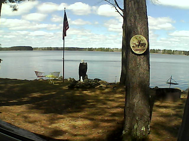 Whiteface Cam Image - Fri, 05/03/2019 11:41am 