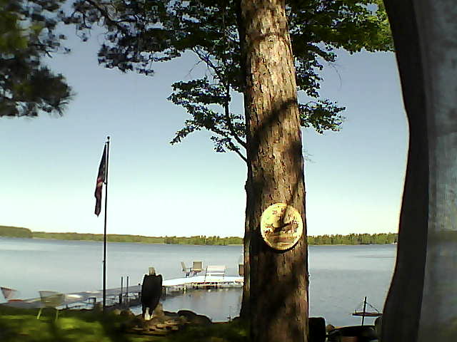 Whiteface Cam Image - Thu, 06/20/2019 10:03am 