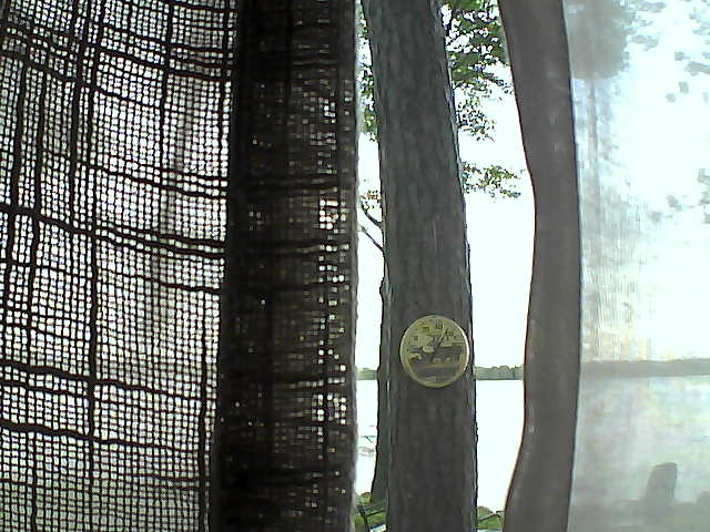 Whiteface Cam Image - Sat, 06/22/2019 5:53am 