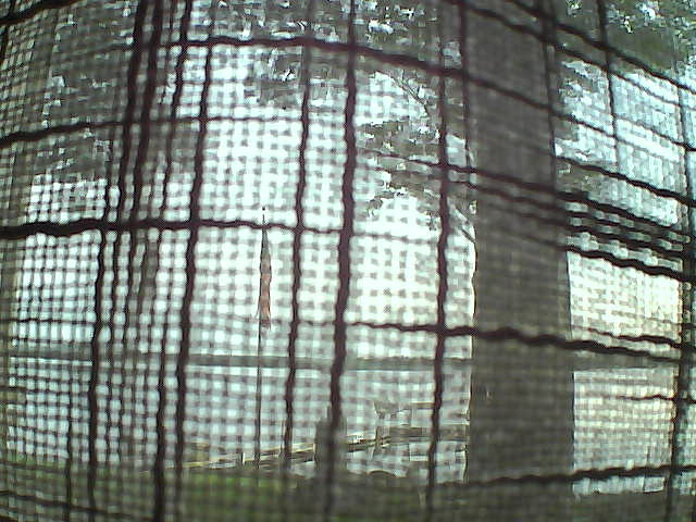 Whiteface Cam Image - Sat, 06/29/2019 4:56am 