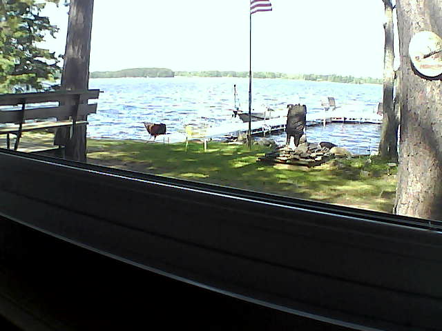 Whiteface Cam Image - Tue, 08/06/2019 11:50am 