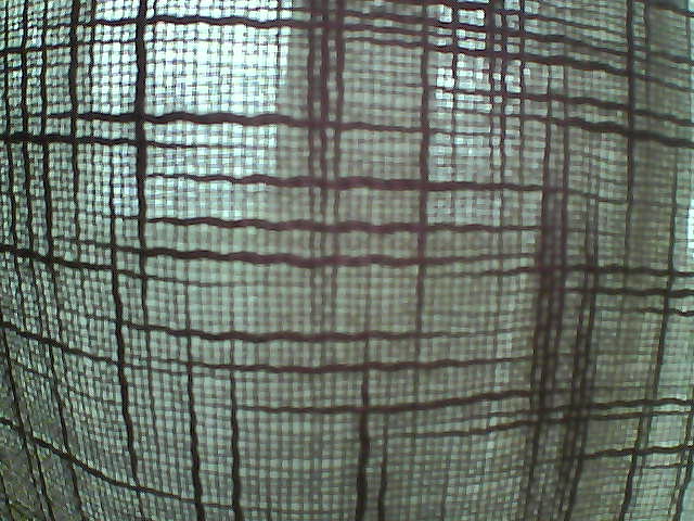 Whiteface Cam Image - Fri, 08/09/2019 5:48am 