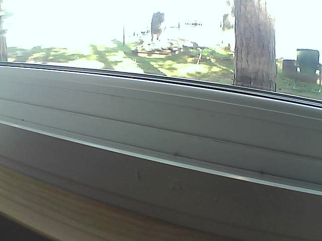 Whiteface Cam Image - Sat, 08/10/2019 9:32am 