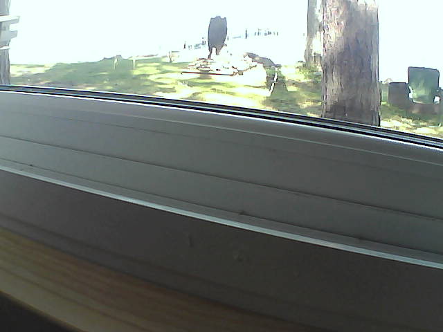 Whiteface Cam Image - Sat, 08/10/2019 10:42am 