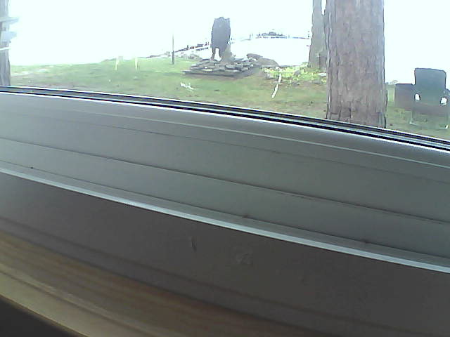 Whiteface Cam Image - Sat, 08/10/2019 11:02am 