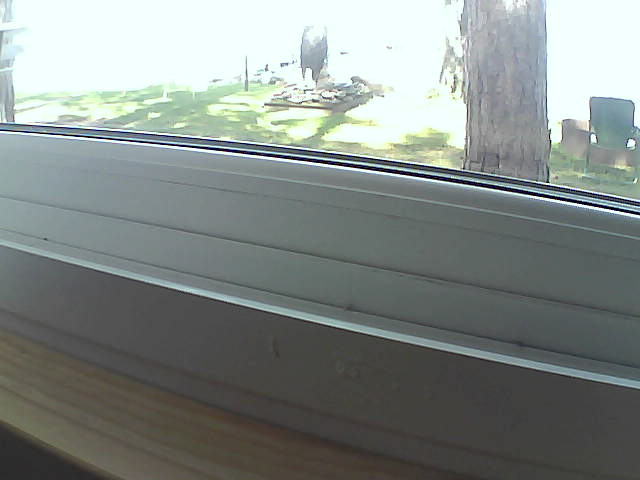 Whiteface Cam Image - Sat, 08/10/2019 11:22am 