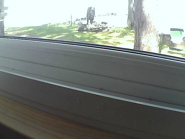 Whiteface Cam Image - Sat, 08/10/2019 11:52am 