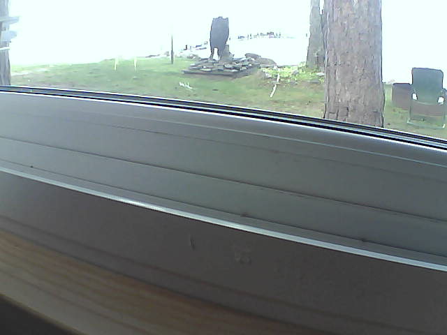 Whiteface Cam Image - Sat, 08/10/2019 12:02pm 