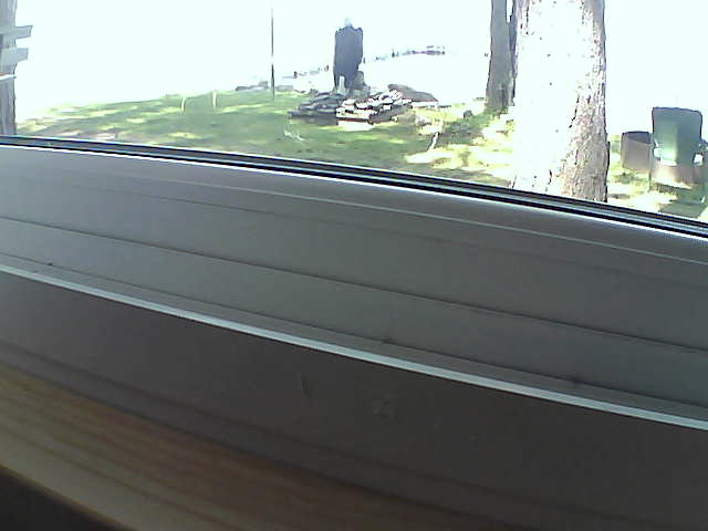 Whiteface Cam Image - Sat, 08/10/2019 12:32pm 