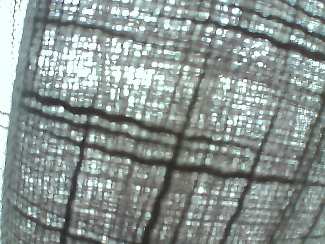 Whiteface Cam Image - Wed, 08/21/2019 7:24am 