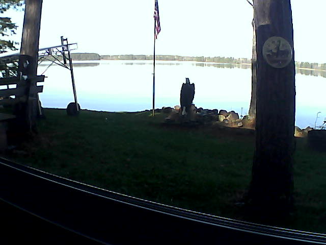 Whiteface Cam Image - Sun, 10/20/2019 9:55am 