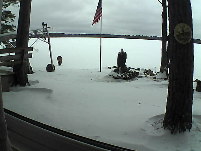 Whiteface Cam Image - Fri, 11/29/2019 4:03pm 