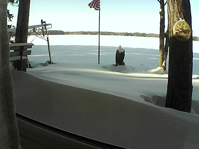 Whiteface Cam Image - Thu, 01/16/2020 1:51pm 