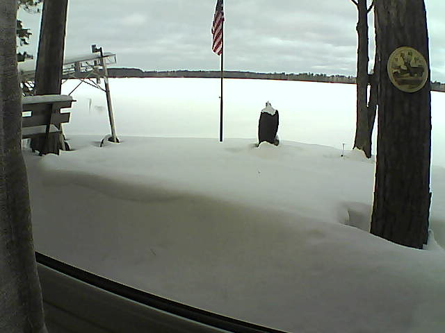 Whiteface Cam Image - Tue, 01/28/2020 10:50am 