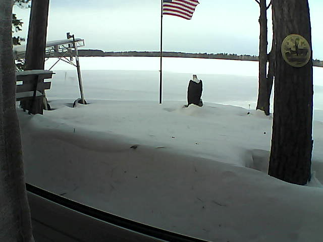 Whiteface Cam Image - Sat, 02/01/2020 11:45am 