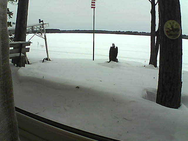 Whiteface Cam Image - Mon, 02/03/2020 7:32am 