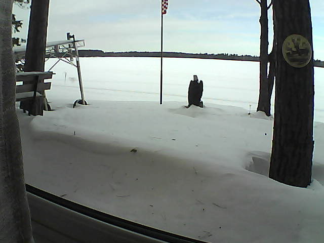 Whiteface Cam Image - Mon, 02/03/2020 11:12am 