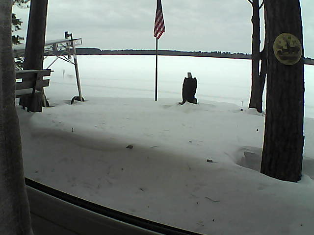 Whiteface Cam Image - Thu, 02/06/2020 1:19pm 