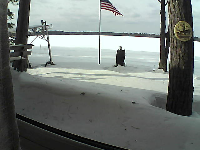 Whiteface Cam Image - Thu, 02/06/2020 1:49pm 