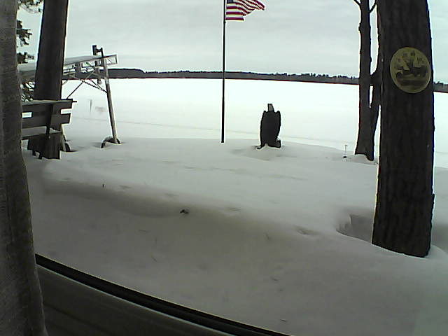 Whiteface Cam Image - Sat, 02/08/2020 11:17am 