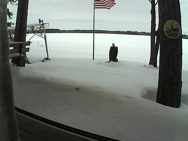 Whiteface Cam Image - Sat, 02/08/2020 11:37am 