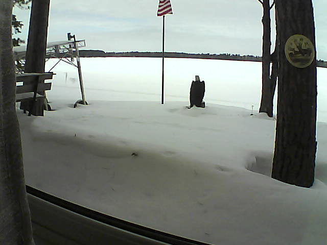 Whiteface Cam Image - Sat, 02/08/2020 11:47am 