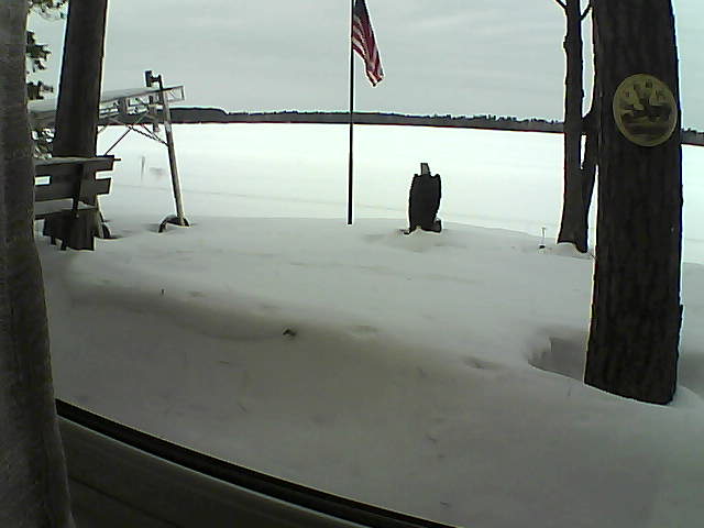 Whiteface Cam Image - Sat, 02/08/2020 12:37pm 