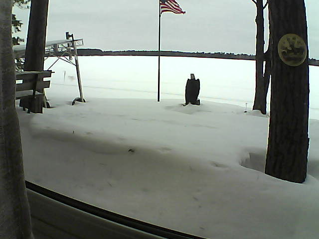 Whiteface Cam Image - Sat, 02/08/2020 12:47pm 