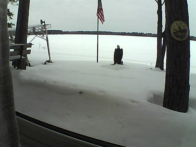 Whiteface Cam Image - Sat, 02/08/2020 1:17pm 