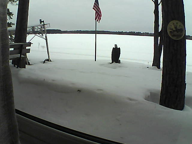 Whiteface Cam Image - Sat, 02/08/2020 1:37pm 