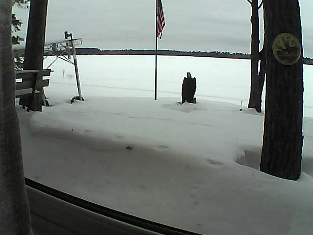 Whiteface Cam Image - Sat, 02/08/2020 2:17pm 