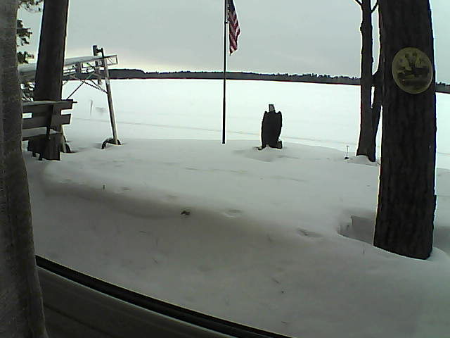 Whiteface Cam Image - Sat, 02/08/2020 3:07pm 