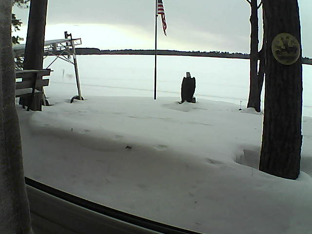 Whiteface Cam Image - Sat, 02/08/2020 3:17pm 