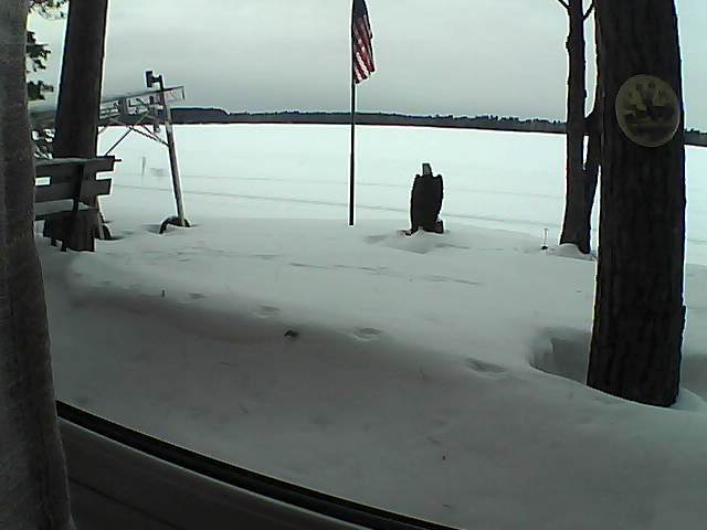 Whiteface Cam Image - Sat, 02/08/2020 4:17pm 