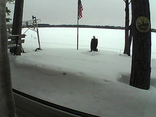 Whiteface Cam Image - Sat, 02/08/2020 5:07pm 