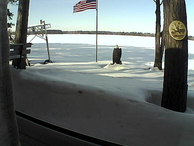 Whiteface Cam Image - Sun, 02/09/2020 12:05pm 
