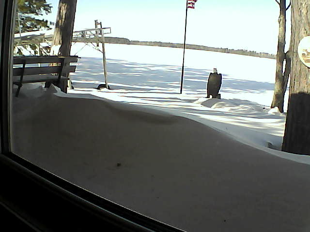 Whiteface Cam Image - Sat, 02/22/2020 11:33am 