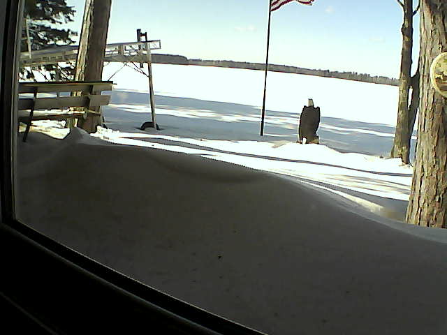 Whiteface Cam Image - Sun, 02/23/2020 1:33pm 