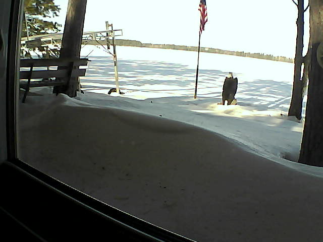 Whiteface Cam Image - Mon, 02/24/2020 9:49am 