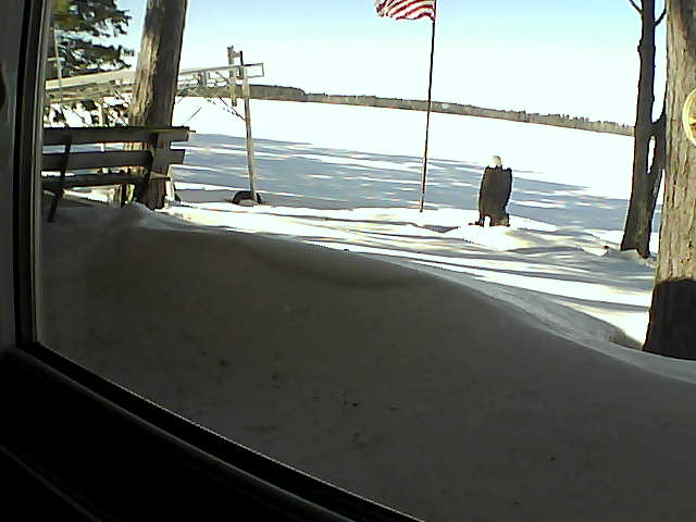 Whiteface Cam Image - Mon, 02/24/2020 12:10pm 