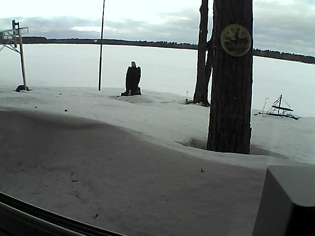 Whiteface Cam Image - Sun, 03/01/2020 4:18pm 