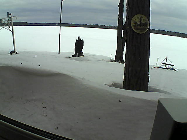 Whiteface Cam Image - Sun, 03/01/2020 4:48pm 