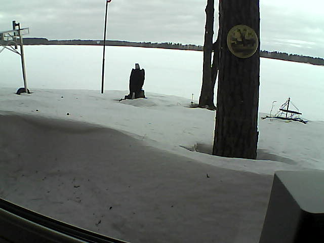 Whiteface Cam Image - Mon, 03/02/2020 8:47am 