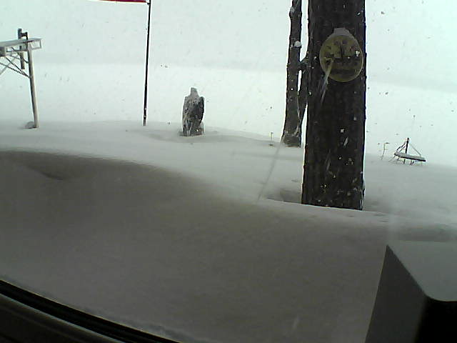 Whiteface Cam Image - Thu, 03/05/2020 11:41am 