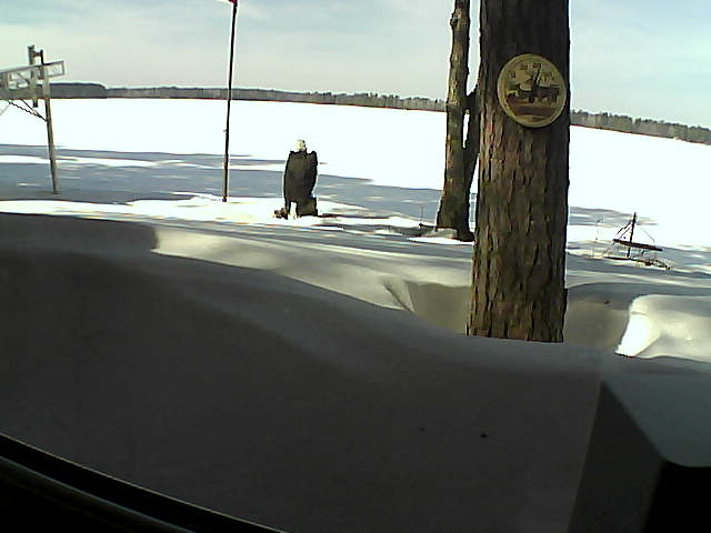 Whiteface Cam Image - Sat, 03/07/2020 12:37pm 