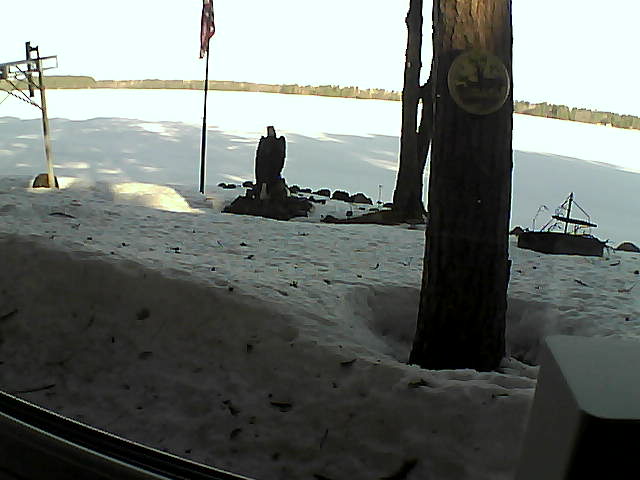 Whiteface Cam Image - Tue, 03/31/2020 8:38am 
