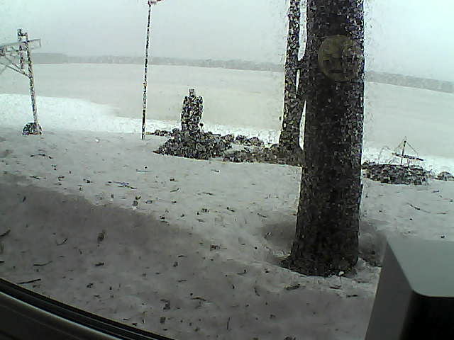 Whiteface Cam Image - Fri, 04/03/2020 12:03pm 