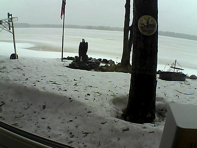 Whiteface Cam Image - Tue, 04/07/2020 8:15am 